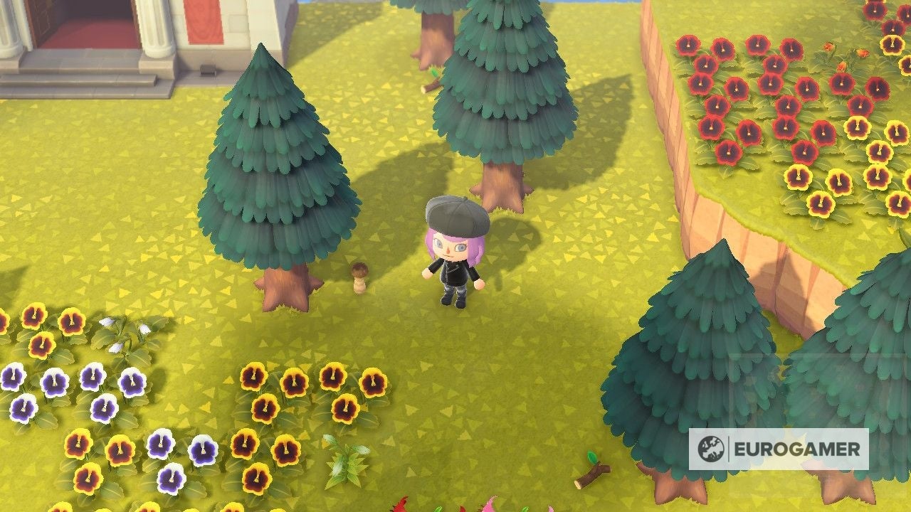 Animal Crossing Mushrooms How to get elegant, flat, rare, round and